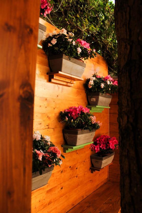 Bed and Breakfast La Casa Di Nonno Giulio Porto SantʼElpidio Zewnętrze zdjęcie