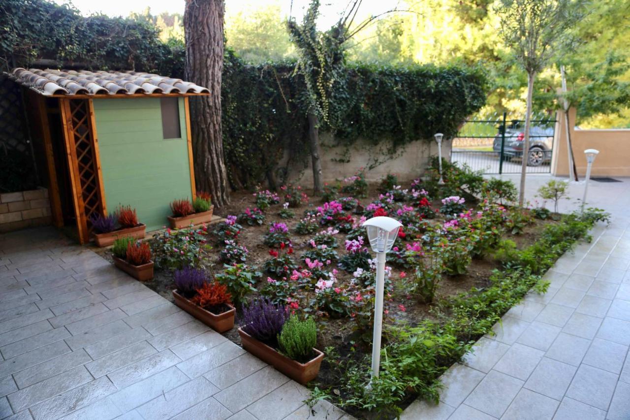 Bed and Breakfast La Casa Di Nonno Giulio Porto SantʼElpidio Zewnętrze zdjęcie